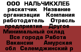 ООО "НАЛЬЧИКХЛЕБ" раскатчик › Название организации ­ Компания-работодатель › Отрасль предприятия ­ Другое › Минимальный оклад ­ 1 - Все города Работа » Вакансии   . Амурская обл.,Селемджинский р-н